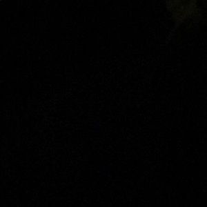 Meet your Posher, Norma